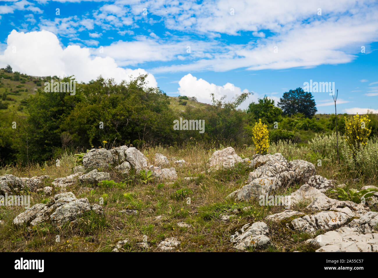 Parte nazionale in Europa, la Bulgaria. Cielo di estate blu. Foto Stock