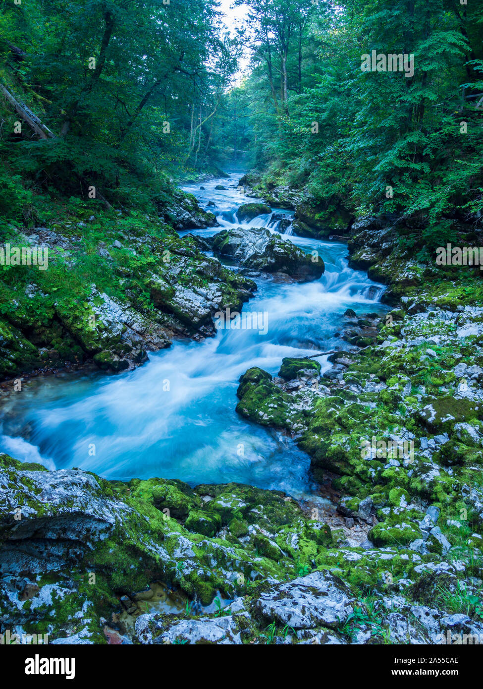 Sfumata in rapido movimento di acqua gola Gorge vicino al lago di Bled Slovenia Foto Stock