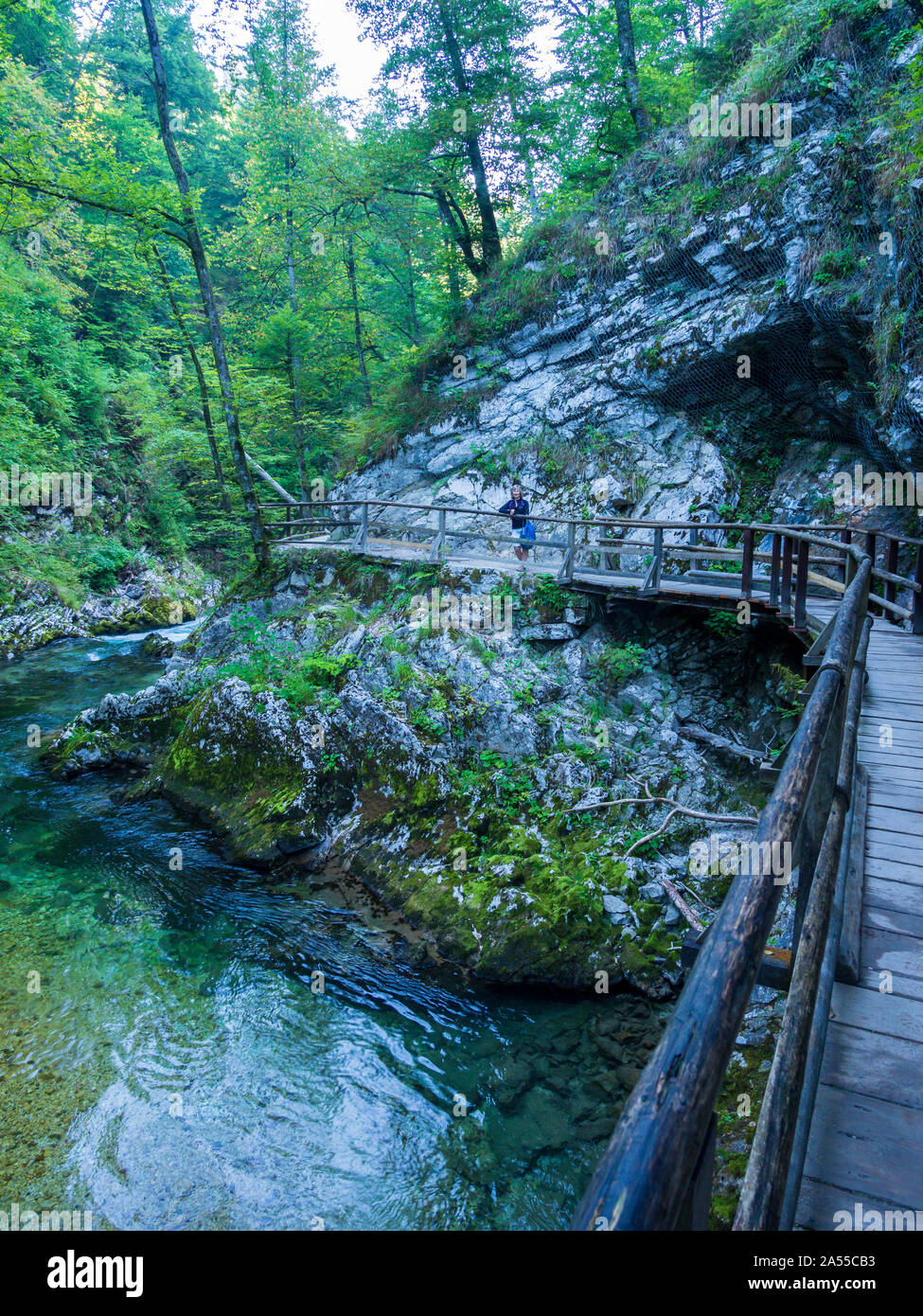 Gola gola con la passerella sul lago di Bled Slovenia Foto Stock