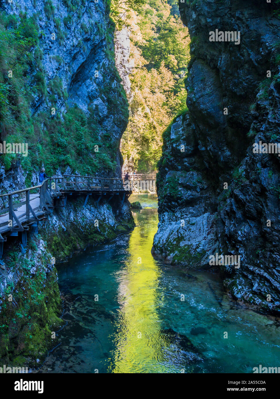 Gola gola con passaggi sul lago di Bled Slovenia Foto Stock