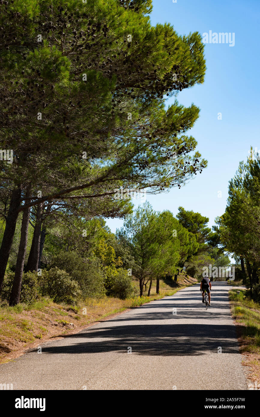 Escursioni in bicicletta in Provenza, vicino Aureille, Francia. Foto Stock