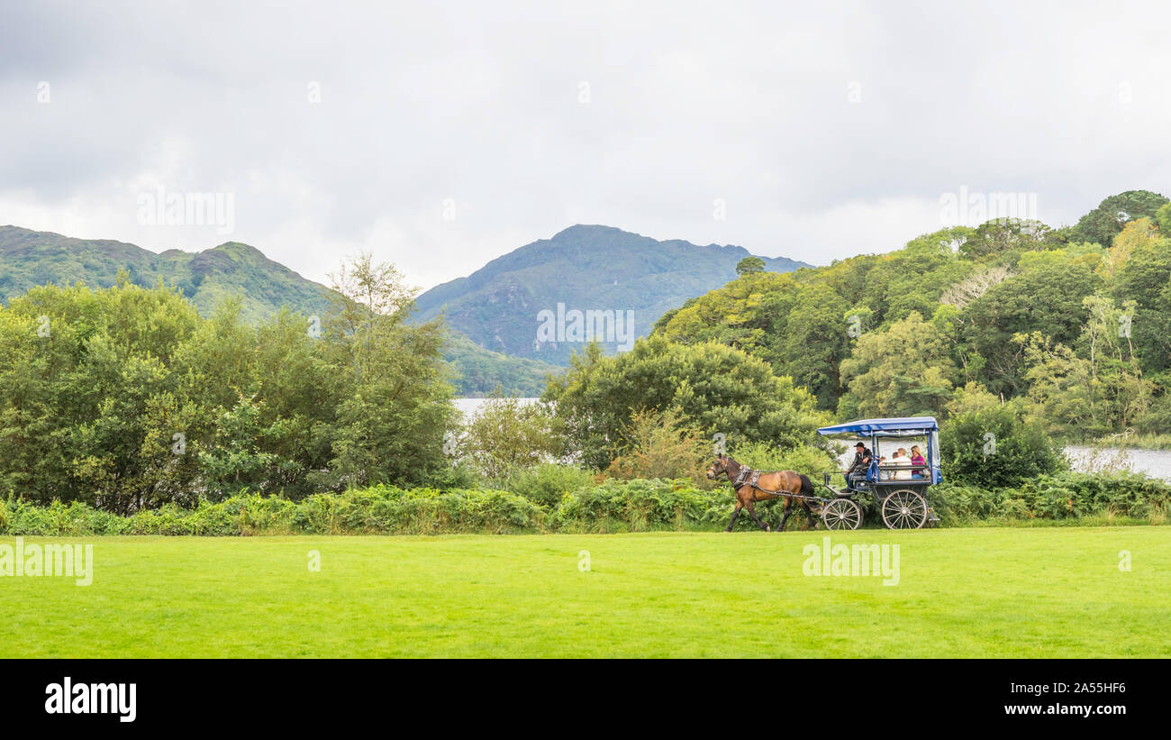 KILLARNEY, Irlanda - Agosto 13, 2019: turisti e un tradizionale jaunting car esplorare Killarney National Park nella contea di Kerry, Irlanda. Foto Stock