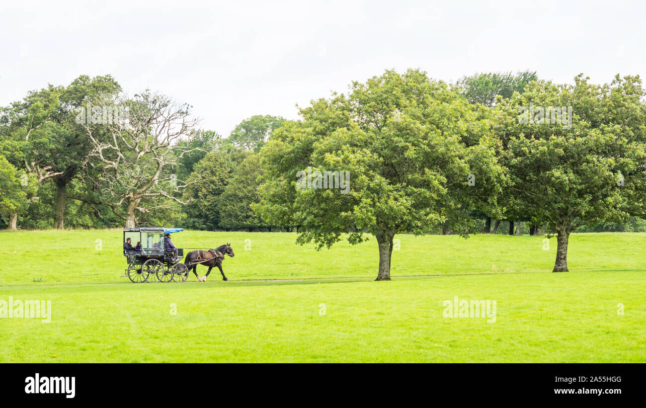KILLARNEY, Irlanda - Agosto 13, 2019: Turisti in una tradizionale macchina jaunting esplorare Killarney National Park nella contea di Kerry, Irlanda. Foto Stock