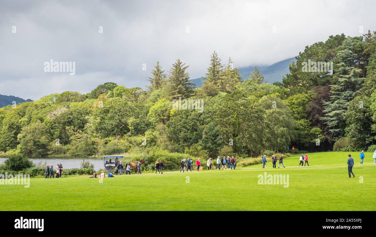 KILLARNEY, Irlanda - Agosto 13, 2019: Turisti in una tradizionale macchina jaunting esplorare Killarney National Park nella contea di Kerry, Irlanda. Foto Stock