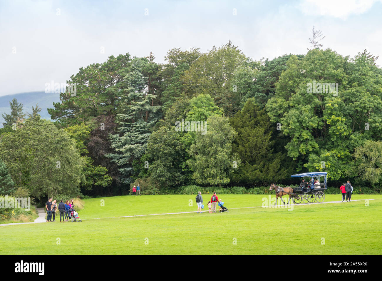 KILLARNEY, Irlanda - Agosto 13, 2019: Turisti in una tradizionale macchina jaunting esplorare Killarney National Park nella contea di Kerry, Irlanda. Foto Stock