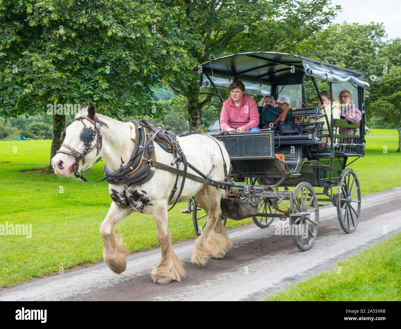 KILLARNEY, Irlanda - Agosto 13, 2019: Turisti in una tradizionale macchina jaunting esplorare Killarney National Park nella contea di Kerry, Irlanda. Foto Stock
