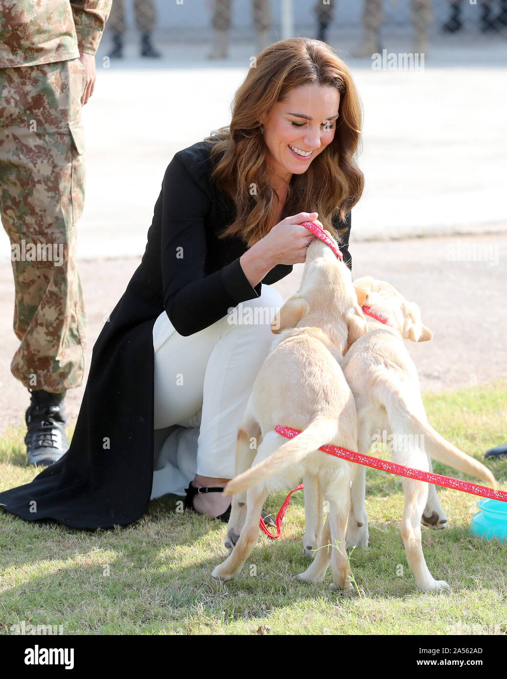ISLAMABAD, PAKISTAN - 18 ottobre: Catherine, duchessa di Cambridge con golden labrador cuccioli Salto e cielo come che lei visita un esercito Centro canina con il principe William Duca di Cambridge, dove il Regno Unito fornisce il supporto per un programma che addestra cani per identificare i dispositivi esplosivi, durante il giorno cinque di loro royal tour del Pakistan il 18 ottobre 2019 a Islamabad, Pakistan. (Foto di Chris Jackson - Piscina/Getty Images) Foto Stock