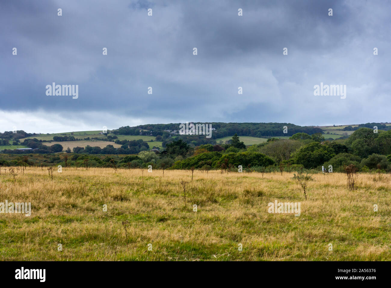 Il Dorset paesaggio di campagna in un giorno nuvoloso, Isle of Purbeck, Dorset, Regno Unito Foto Stock