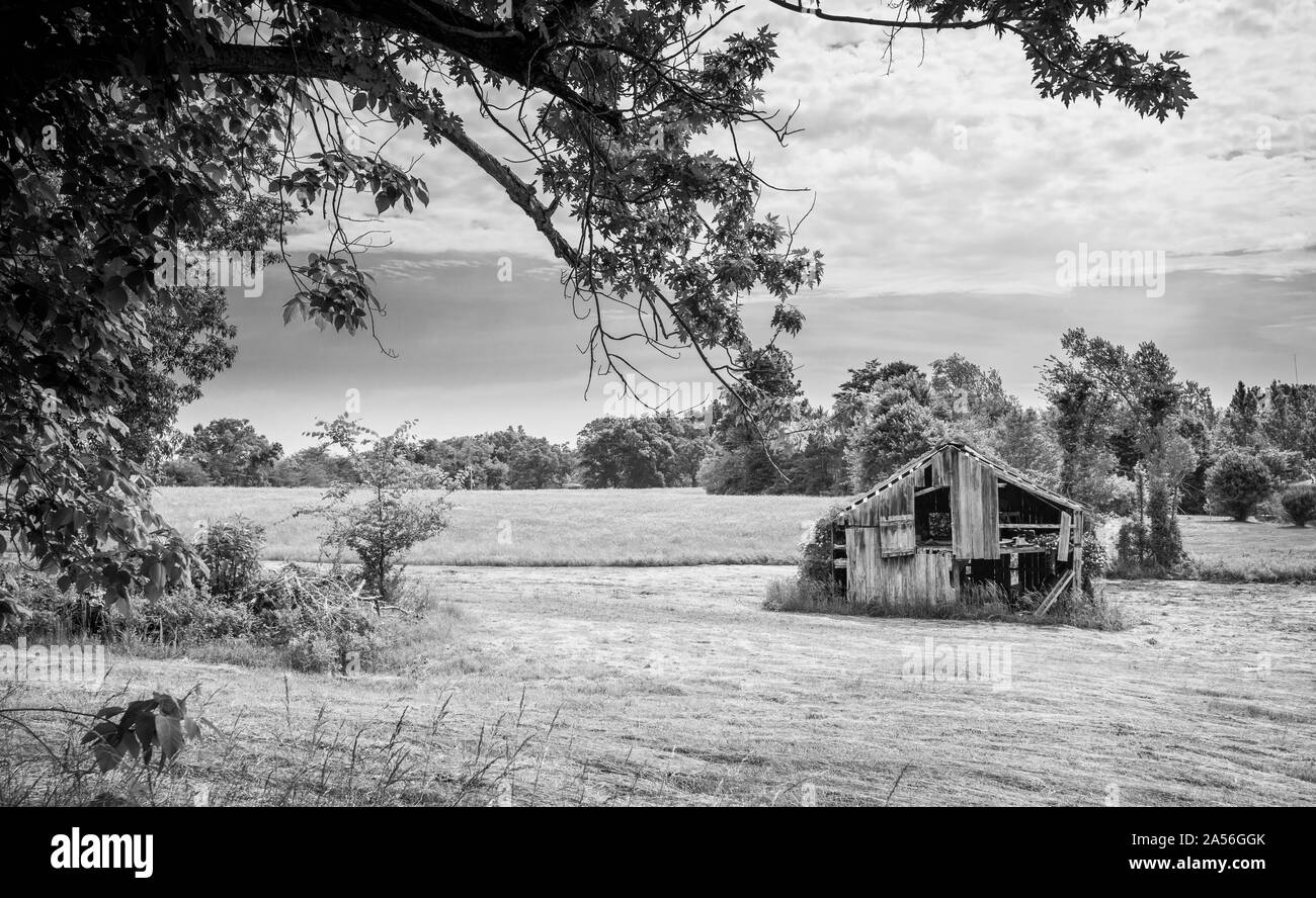 Il vecchio fienile in un Hayfield. Foto Stock