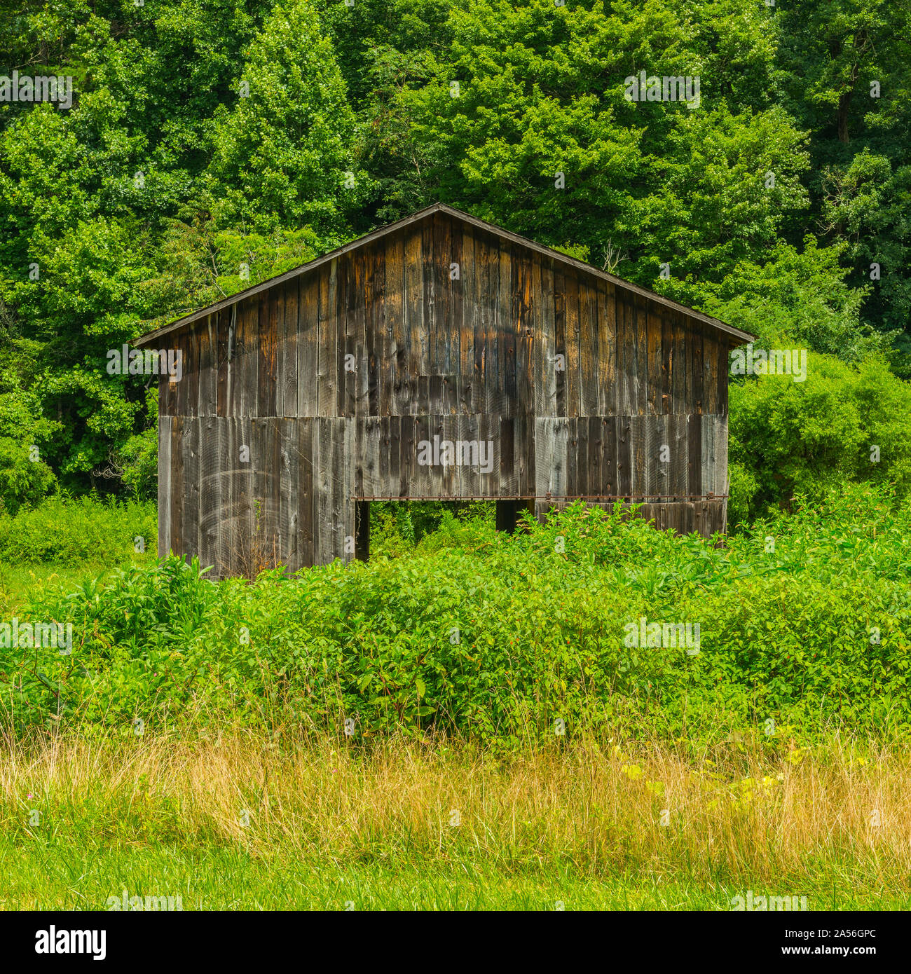 North Carolina Barn 5. Foto Stock