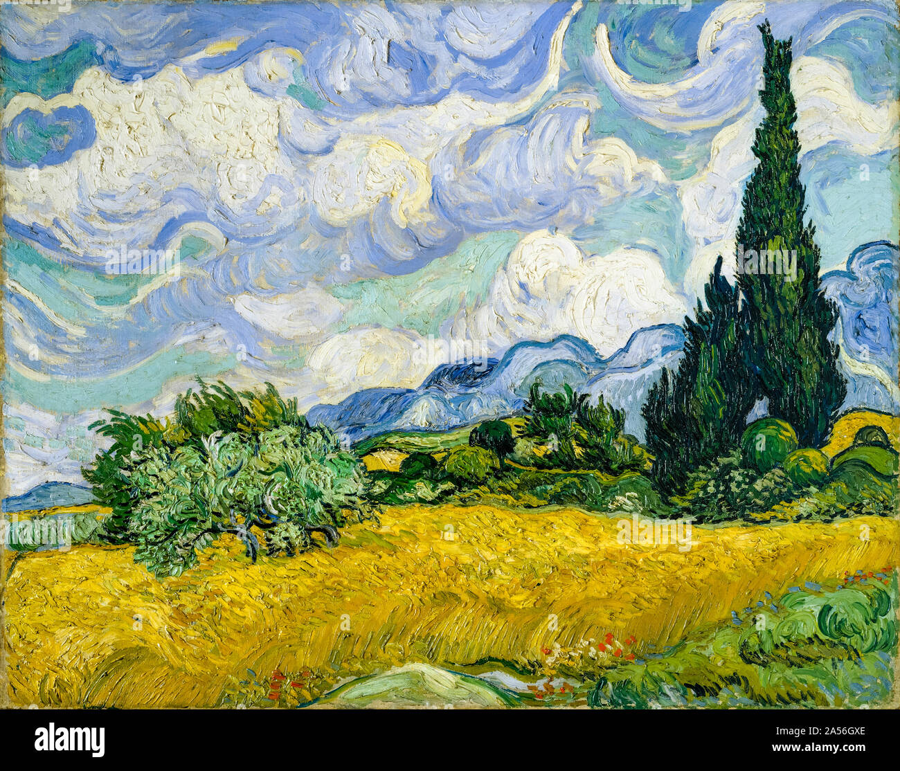 Vincent van Gogh, pittura paesaggistica, campo di grano con cipressi, 1889 Foto Stock