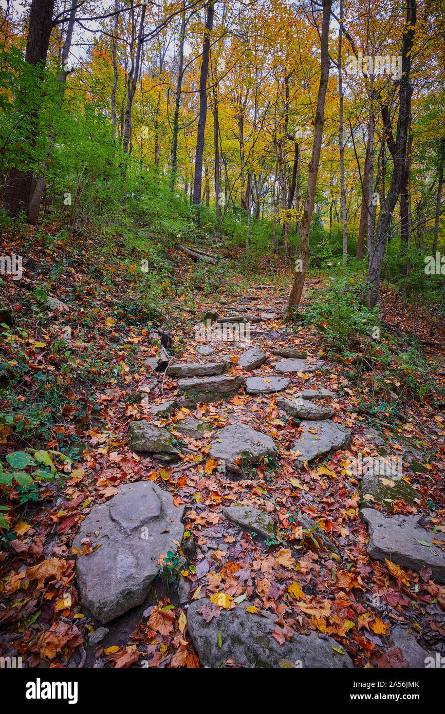 Sentiero escursionistico con la caduta delle foglie. Foto Stock