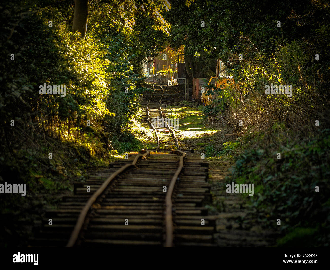 Ferrovia a scartamento ridotto Leighton Buzzard Foto Stock