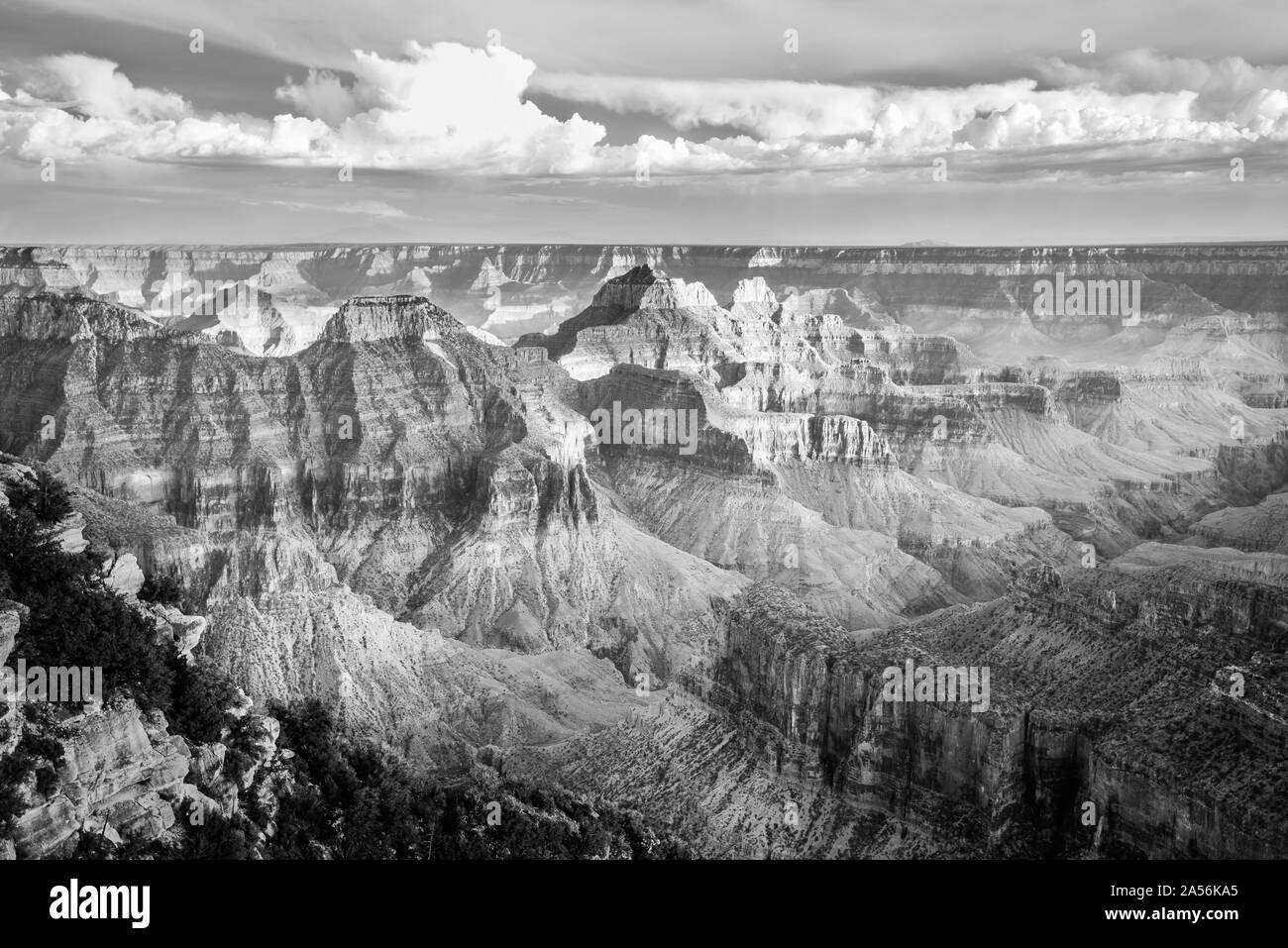 B&W North Rim del Grand Canyon Foto Stock