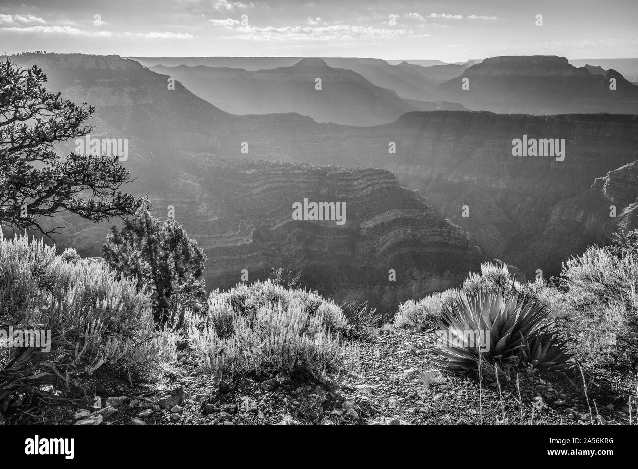 Sunrise al punto sublime, il Parco Nazionale del Grand Canyon, AZ. Foto Stock