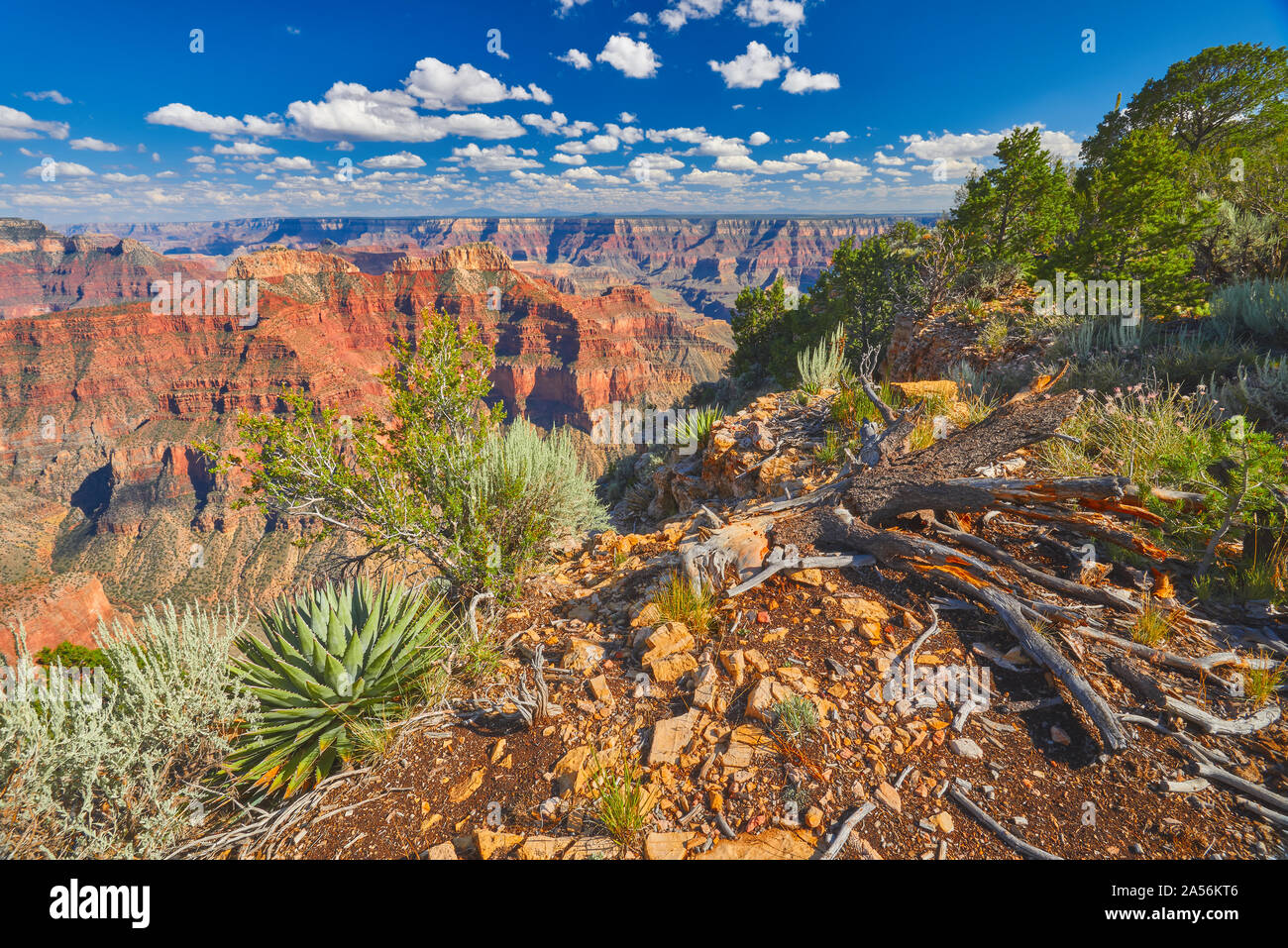 Grand Canyon dal North Rim al punto sublime. Foto Stock