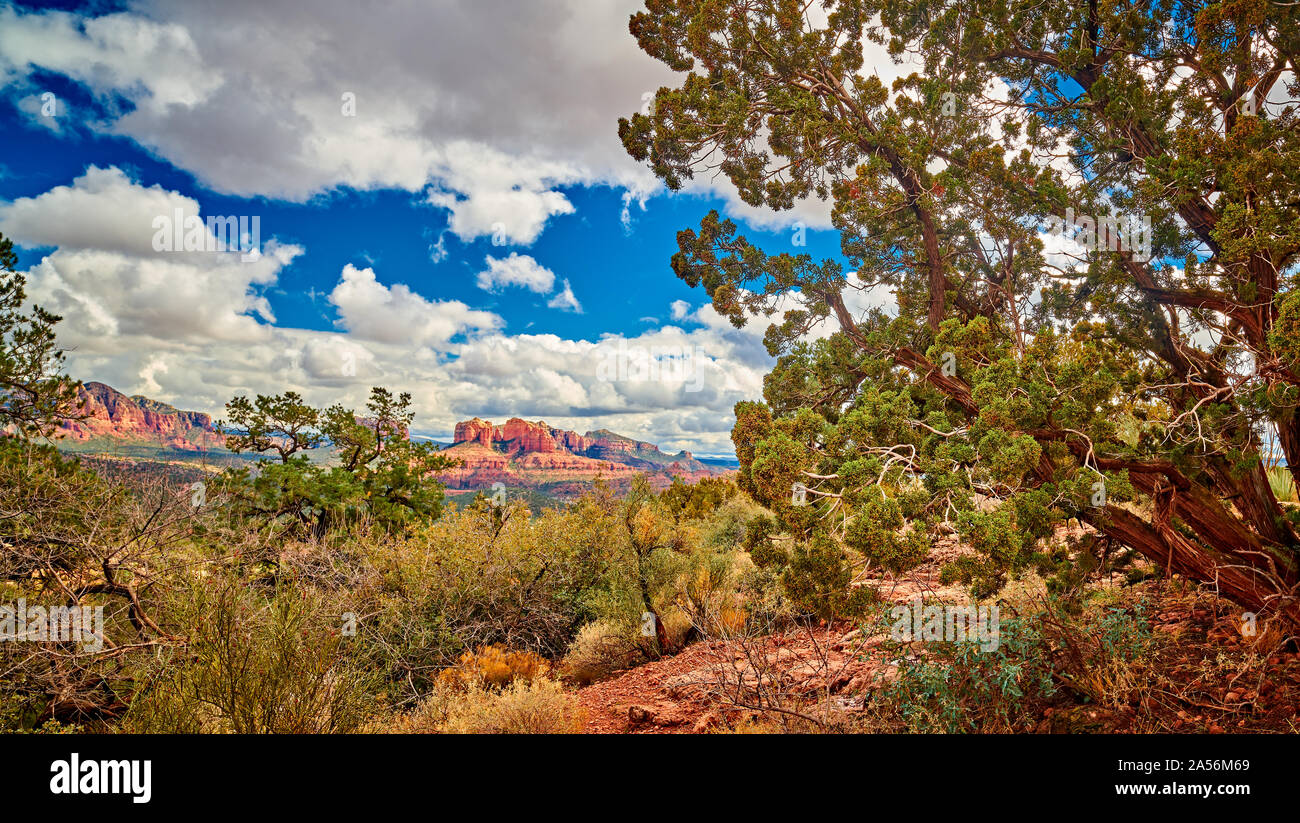 Red Rock Landscape di Sedona, in Arizona. Foto Stock