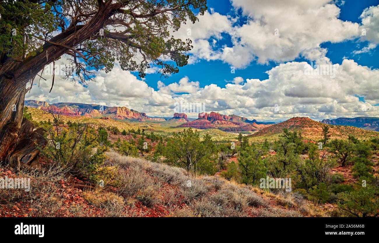 Red Rock Landscape di Sedona, in Arizona. Foto Stock