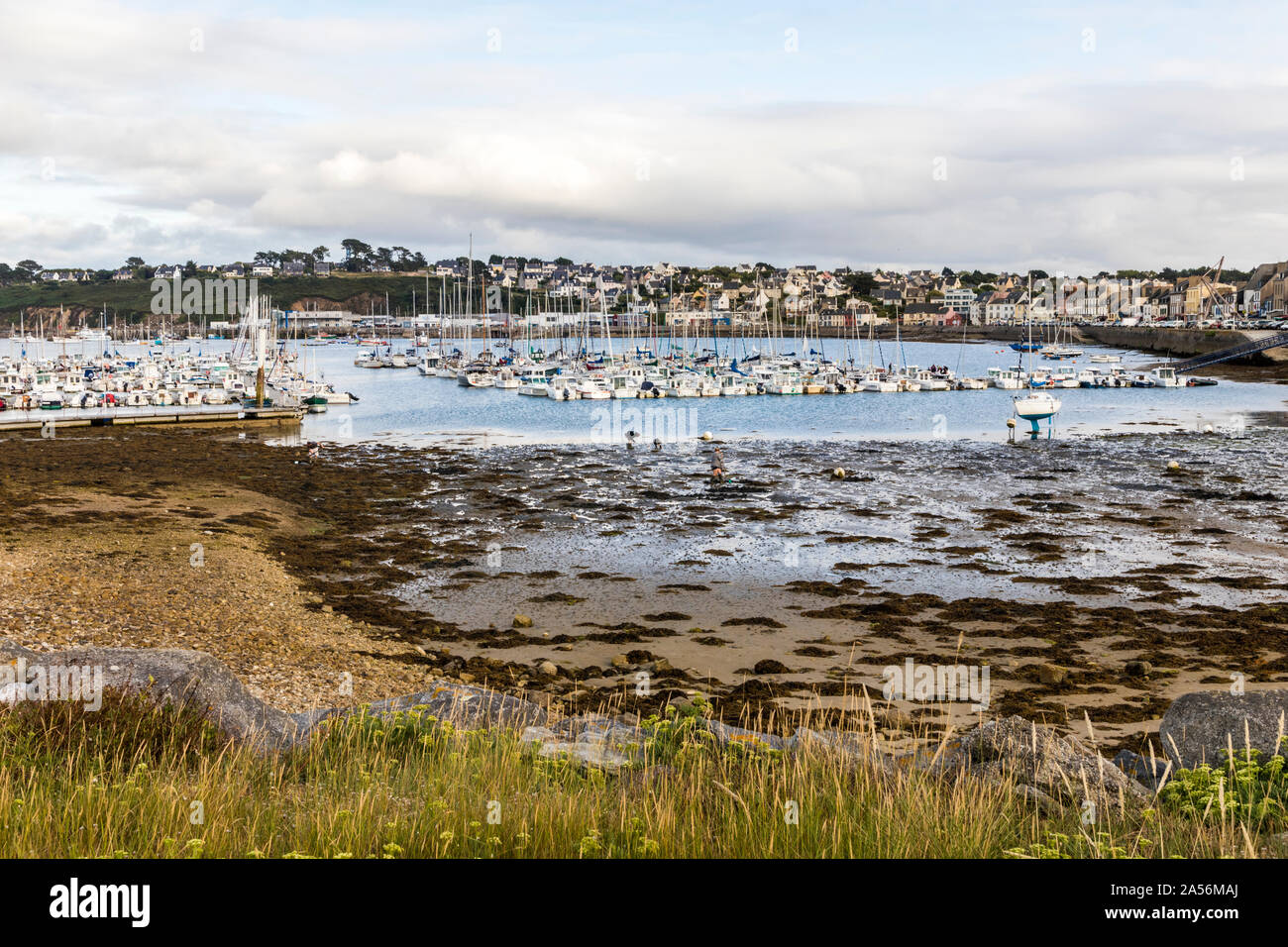 Camaret-sur-Mer, Francia. Persone di pesca a mano nella marina Foto Stock