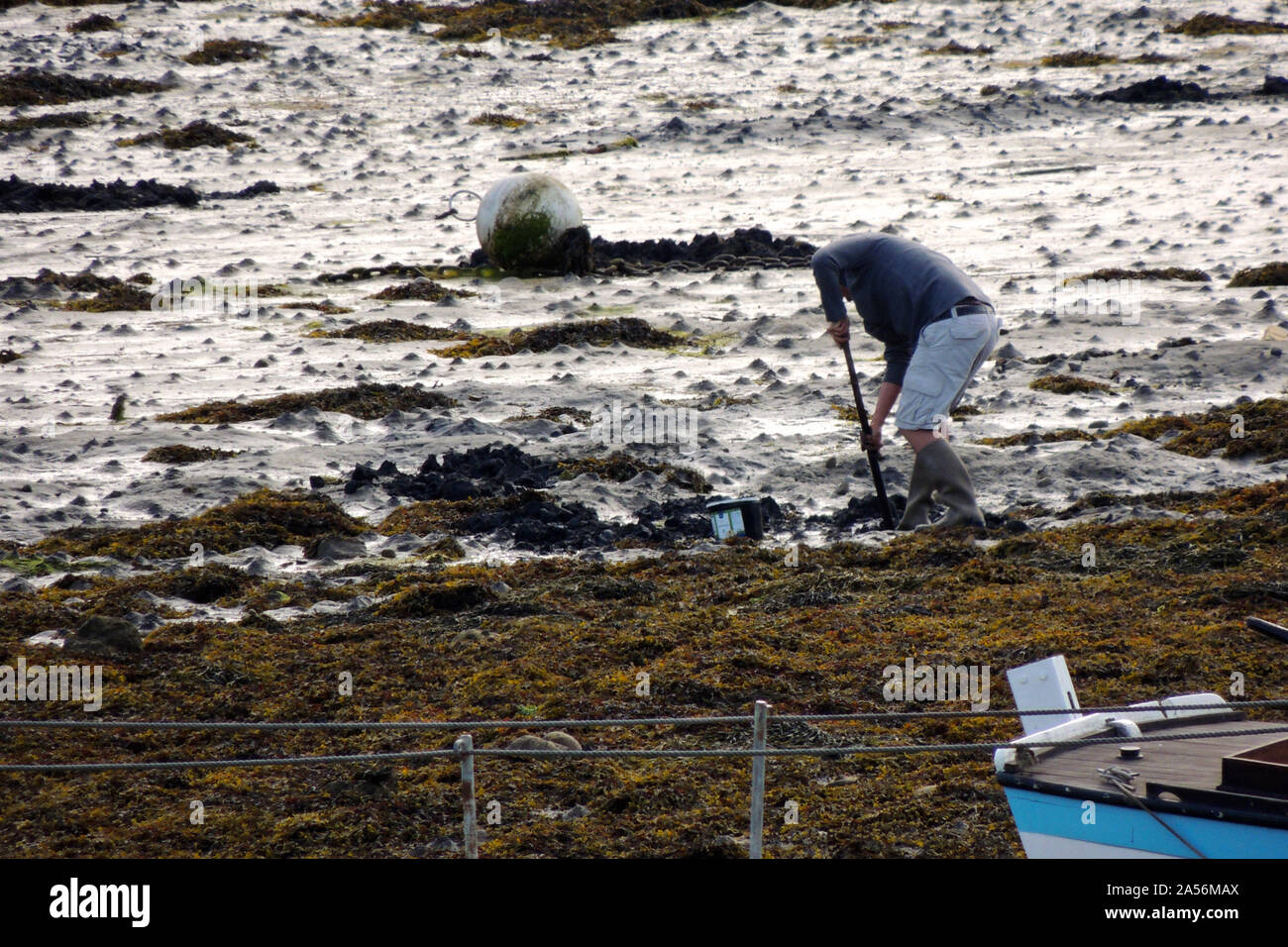 Camaret-sur-Mer, Francia. Persone di pesca a mano nella marina Foto Stock