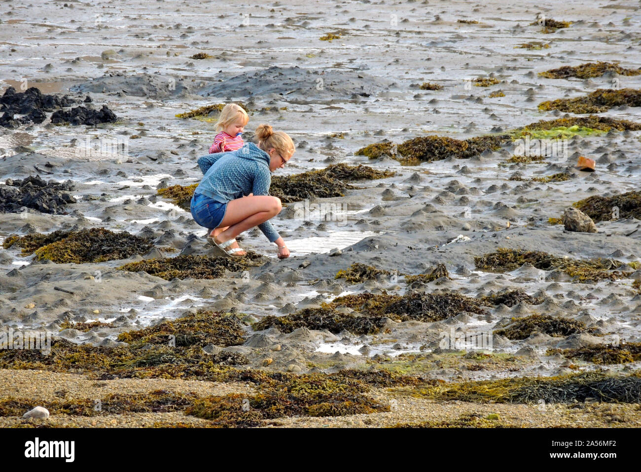 Camaret-sur-Mer, Francia. Persone di pesca a mano nella marina Foto Stock