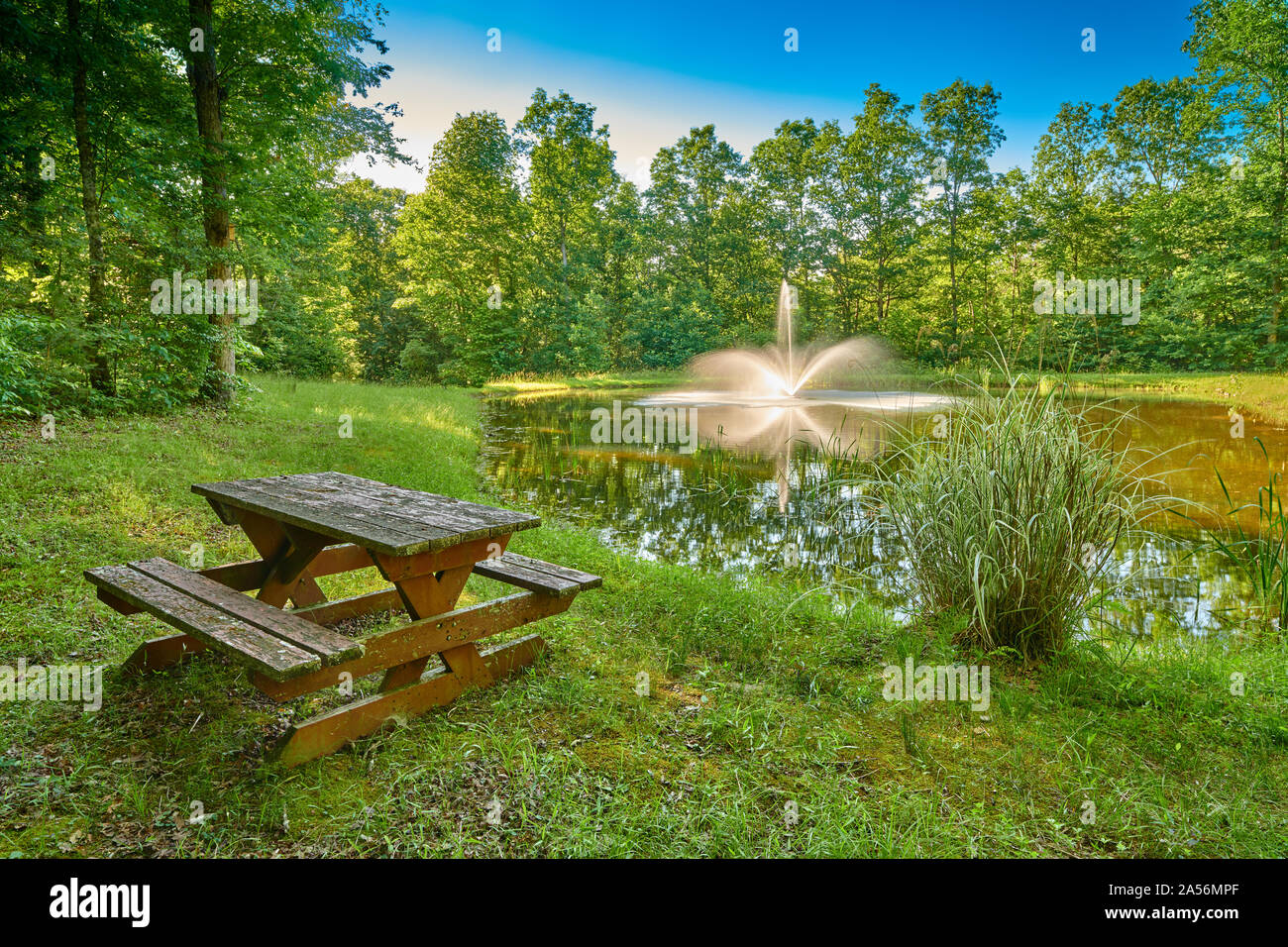 Rustico Tavolo picnic accanto ad un laghetto. Foto Stock