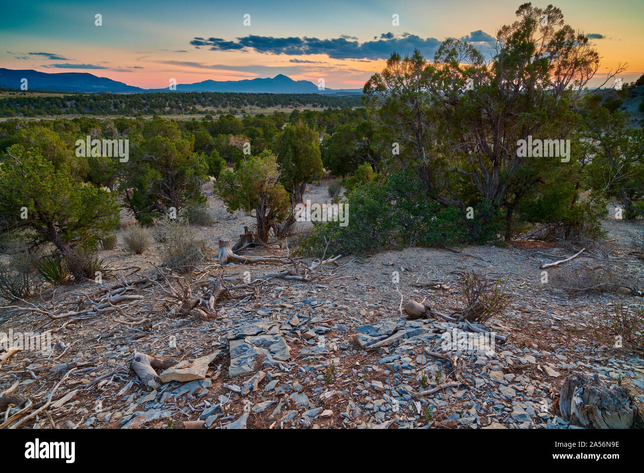Deserto arido con montagne in lontananza. Foto Stock