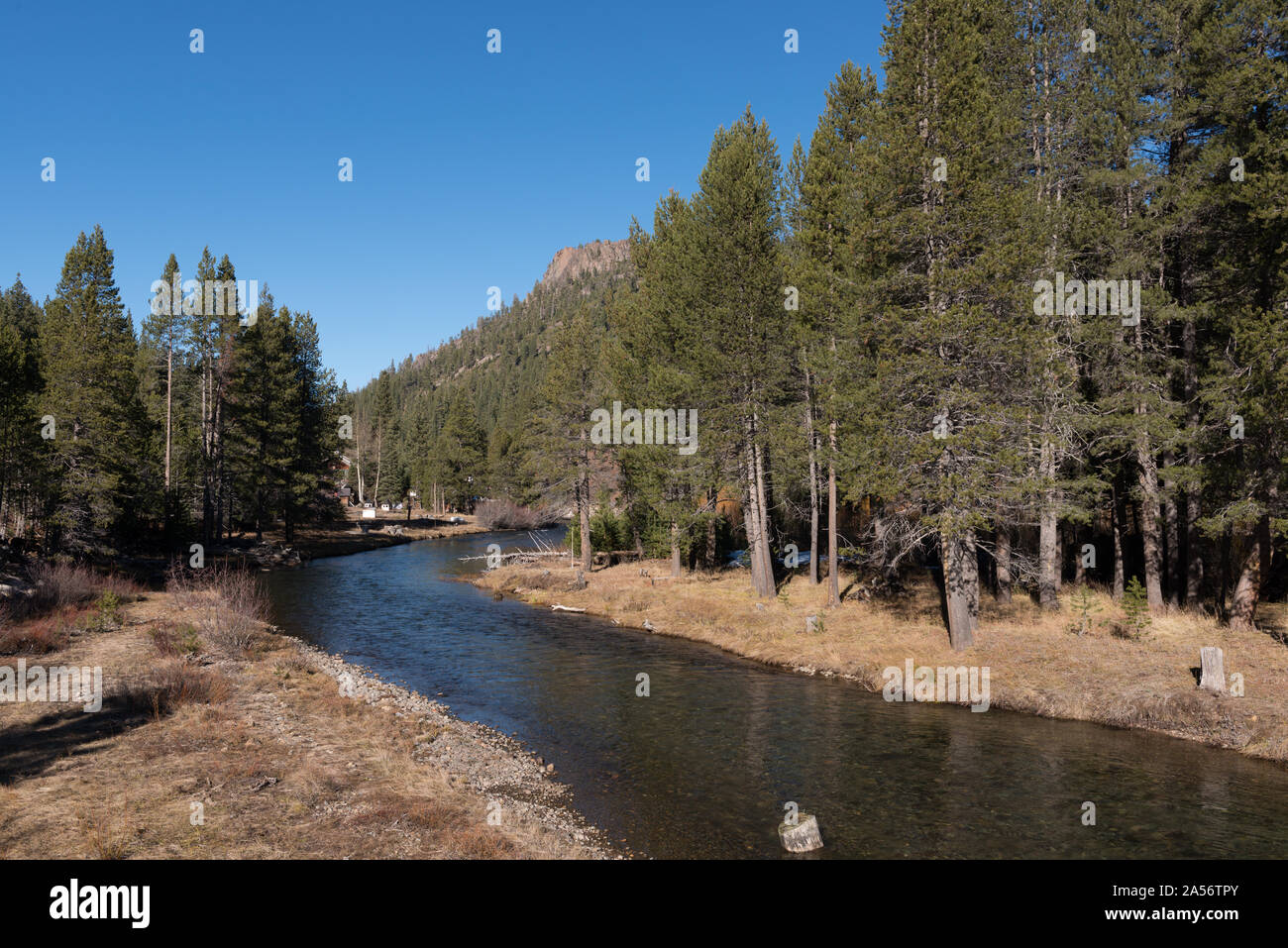 Vista del fiume Truckee in Tahoe National Forest in California del Nord Foto Stock