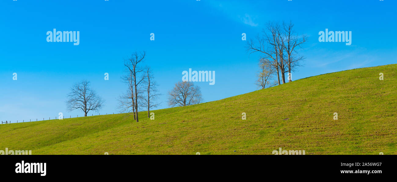 Gli alberi su una collina wirth Blue Sky. Foto Stock