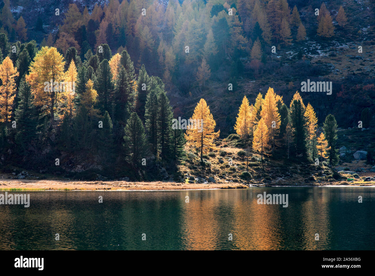 Il lago di Cavloc al Maloggia passare durante l'autunno in Engadina svizzera Foto Stock