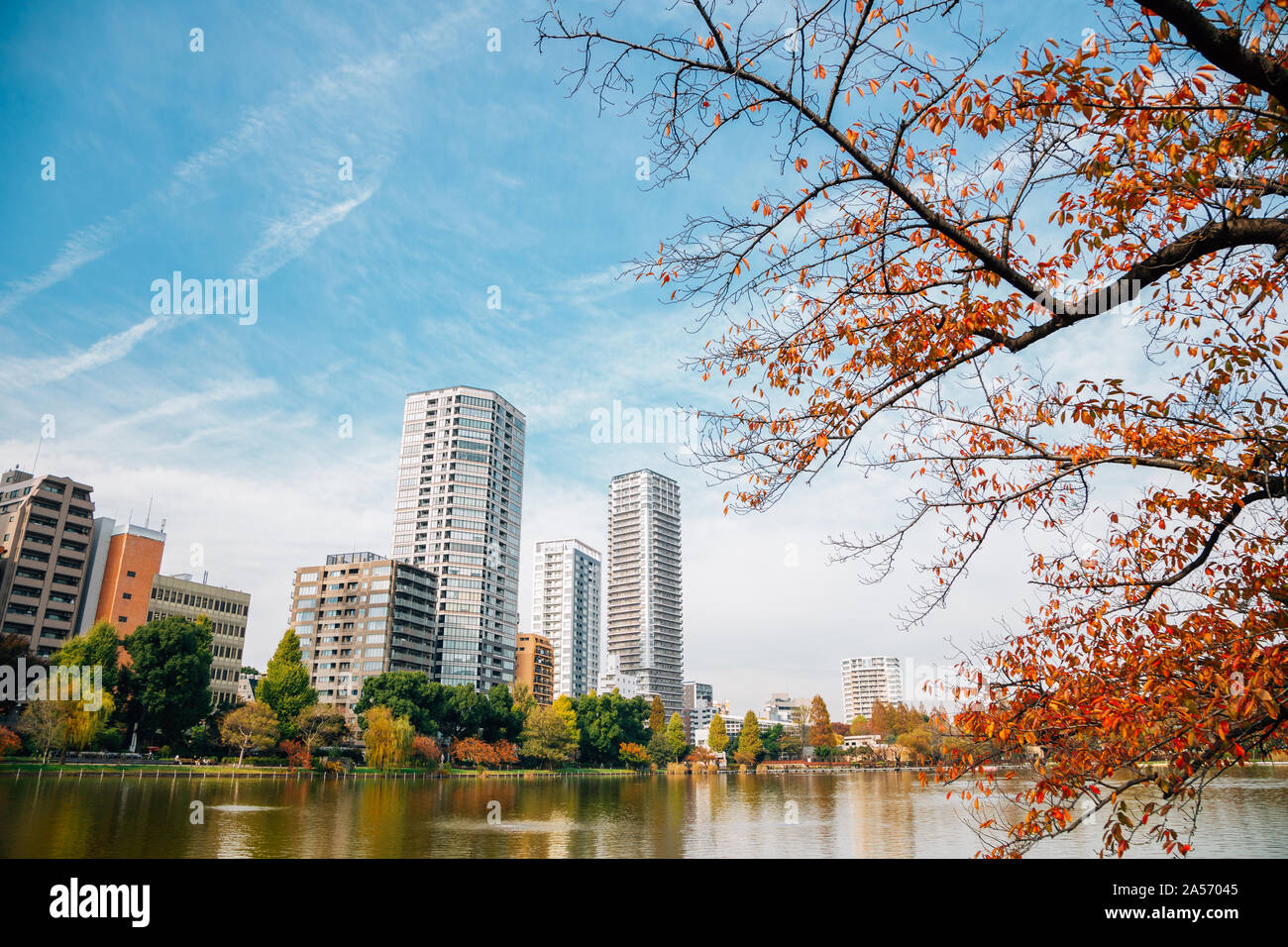 Il parco Ueno Shinobazu pond e moderni edifici in autunno a Tokyo in Giappone Foto Stock