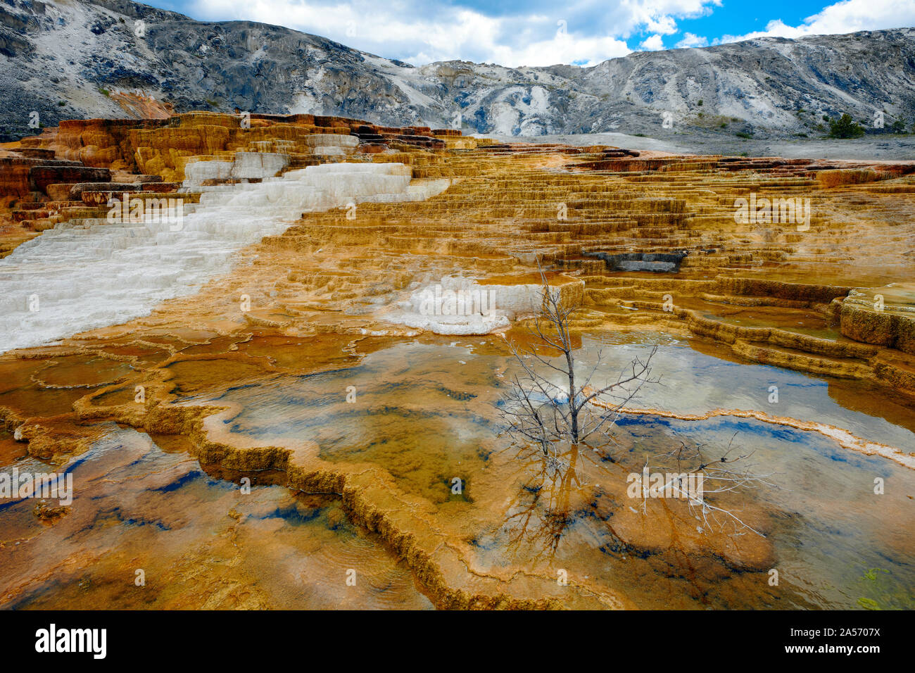 Terrazze a Mammoth Hot Spring, il Parco Nazionale di Yellowstone. Foto Stock