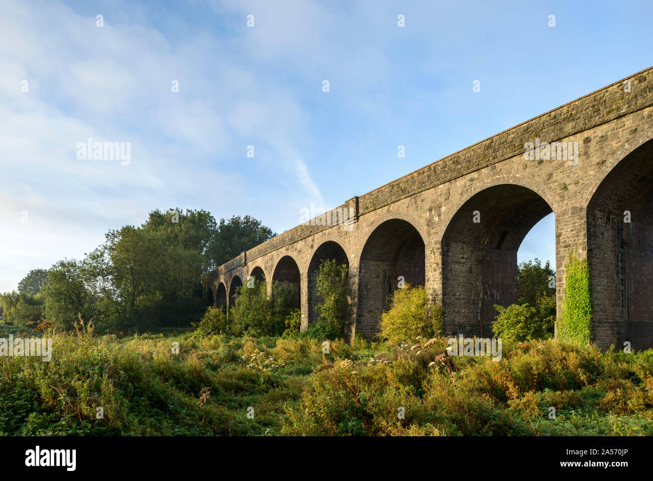 In disuso Charlton viadotto, una volta parte del Somerset e Dorset, ferroviaria a Shepton Mallet, Somerset. Foto Stock