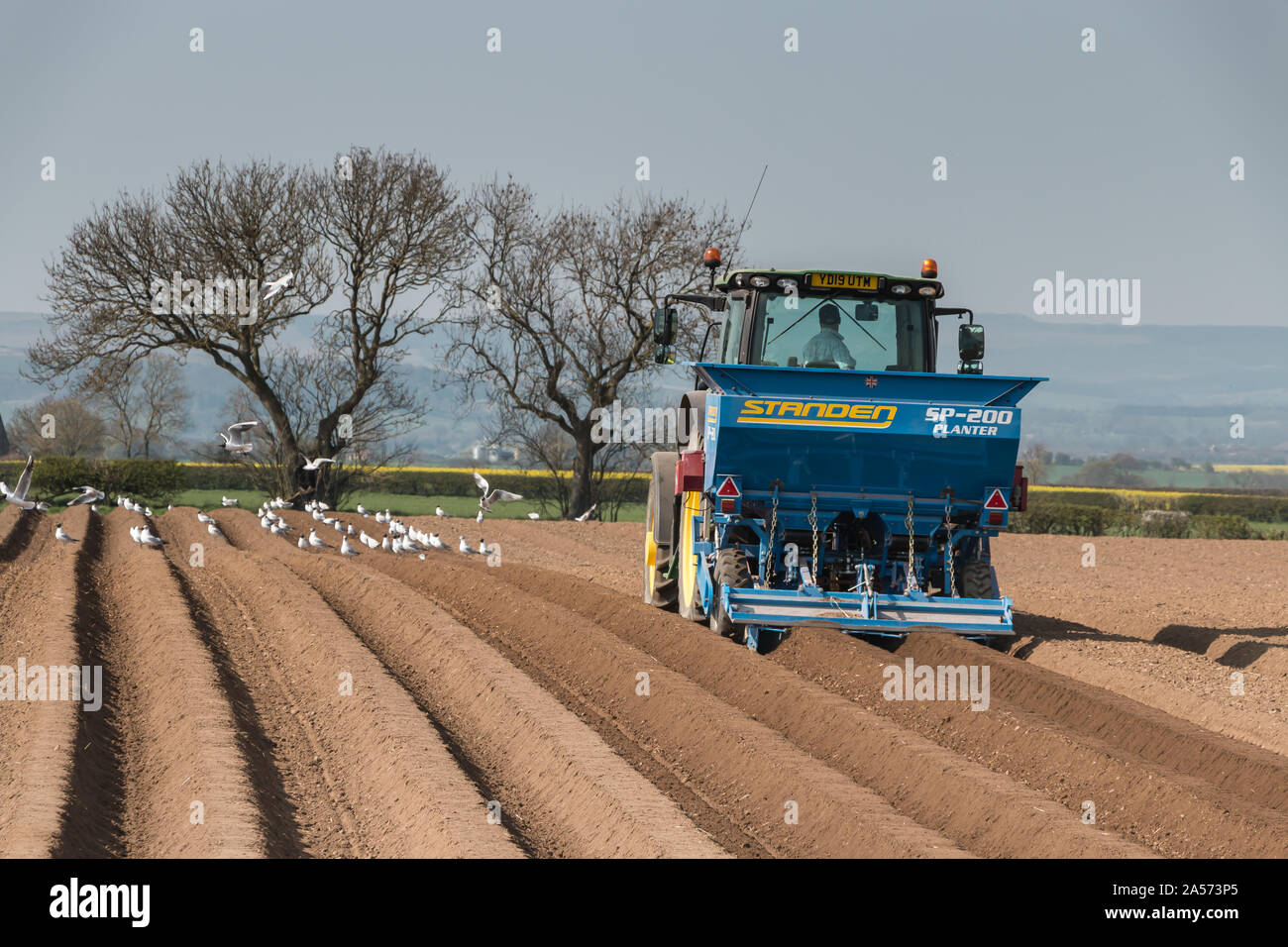 Un trattore John Deere e Standen piantatrice di patate a lavorare nel sole primaverile Foto Stock