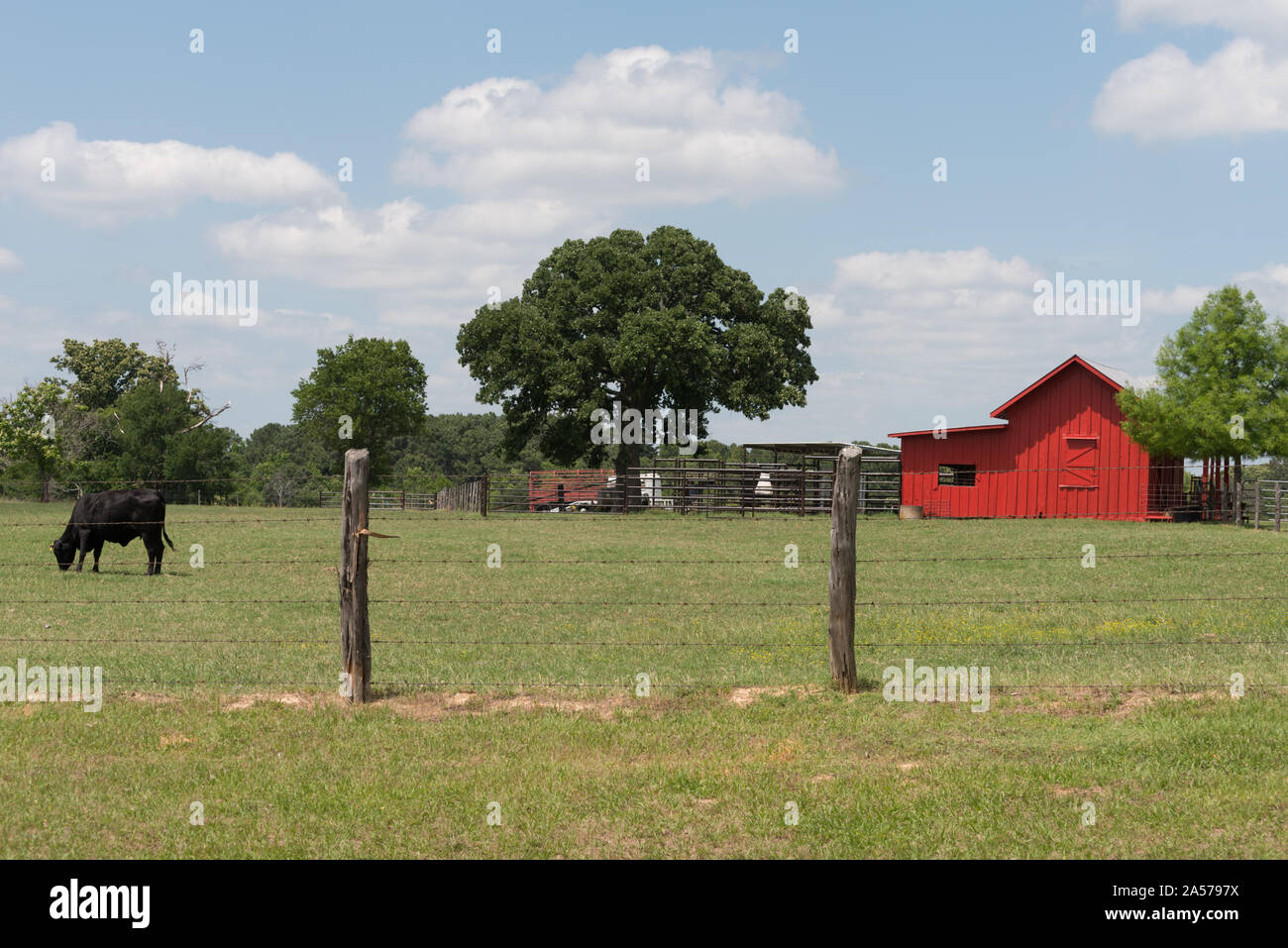 Rosso vivo fienile nel Texas orientale Foto Stock