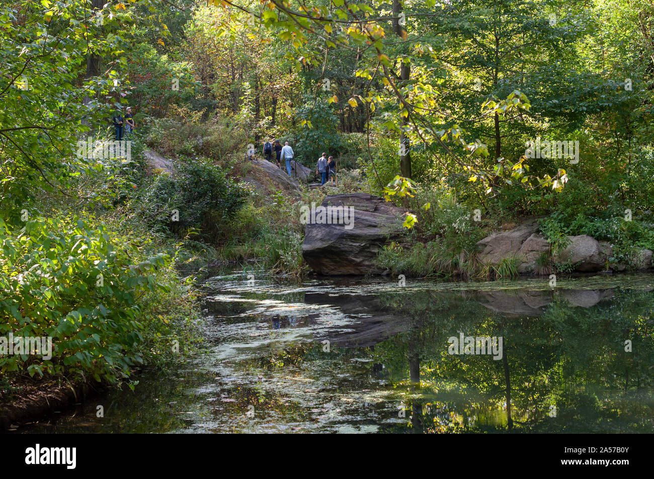 I Boschi del Nord di Central Park a New York domenica 13 ottobre, 2019. (© Richard B. Levine) Foto Stock