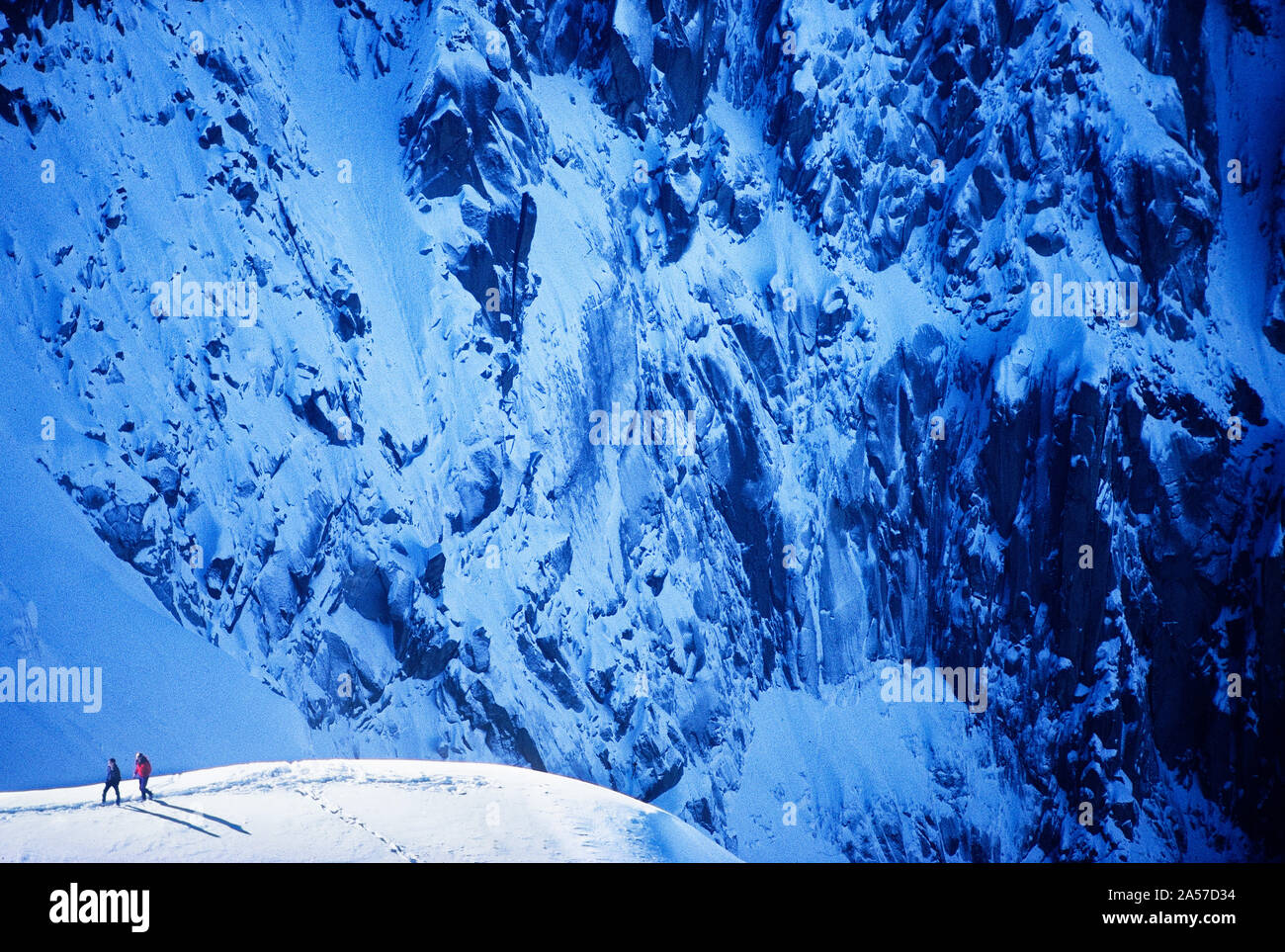 Due alpinisti su una cresta di neve con la pura faccia Ovest della Aiguille de Plan oltre nell'Aiguilles di Chamonix, Francia Foto Stock