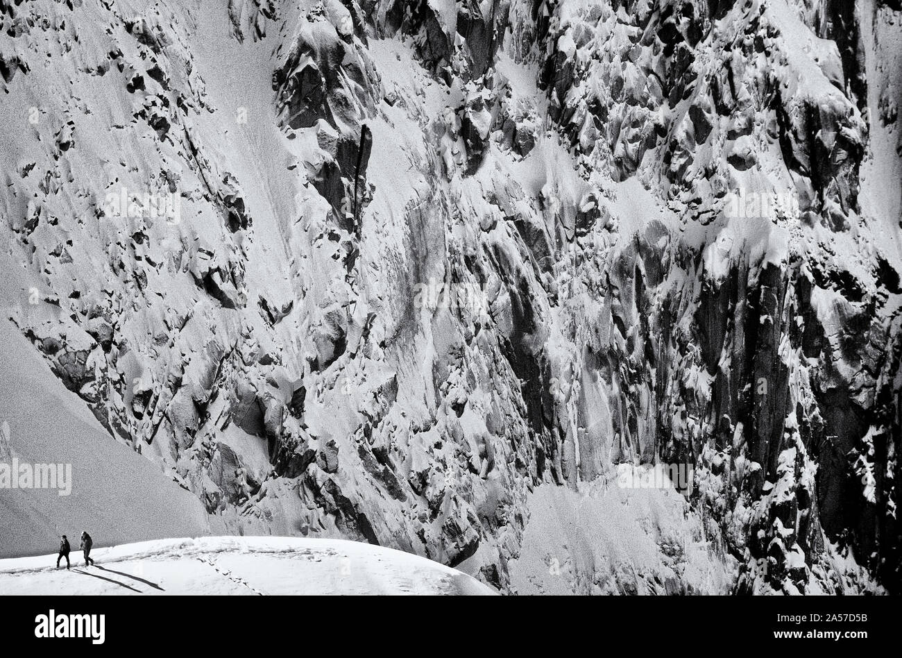 Due alpinisti su una cresta di neve con la pura faccia Ovest della Aiguille de Plan oltre nell'Aiguilles di Chamonix, Francia Foto Stock