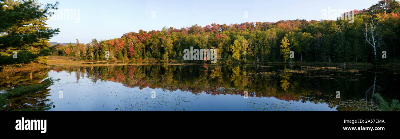 La riflessione di alberi in un lago, Adirondack State Park, nello Stato di New York, Stati Uniti d'America Foto Stock