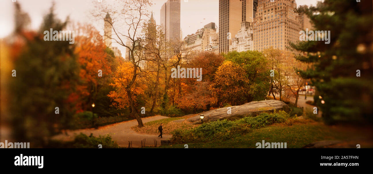 Parco con edifici in background, Central Park, Manhattan, New York City, nello Stato di New York, Stati Uniti d'America Foto Stock