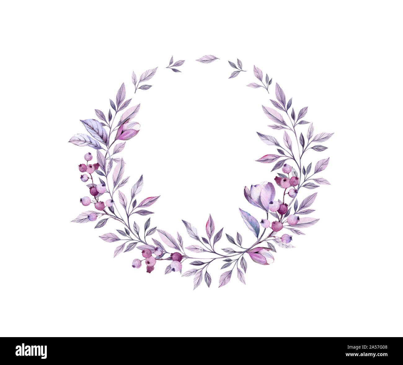 Acquerello ghirlanda floreale con anemone viola le gemme. Dipinte a mano e realistico illustrazione botanica. Fiori, foglie e frutti di bosco isolato su bianco per Foto Stock
