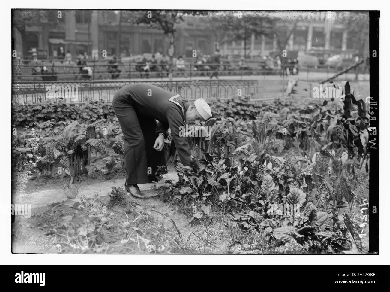 W.J. Reilly Foto Stock