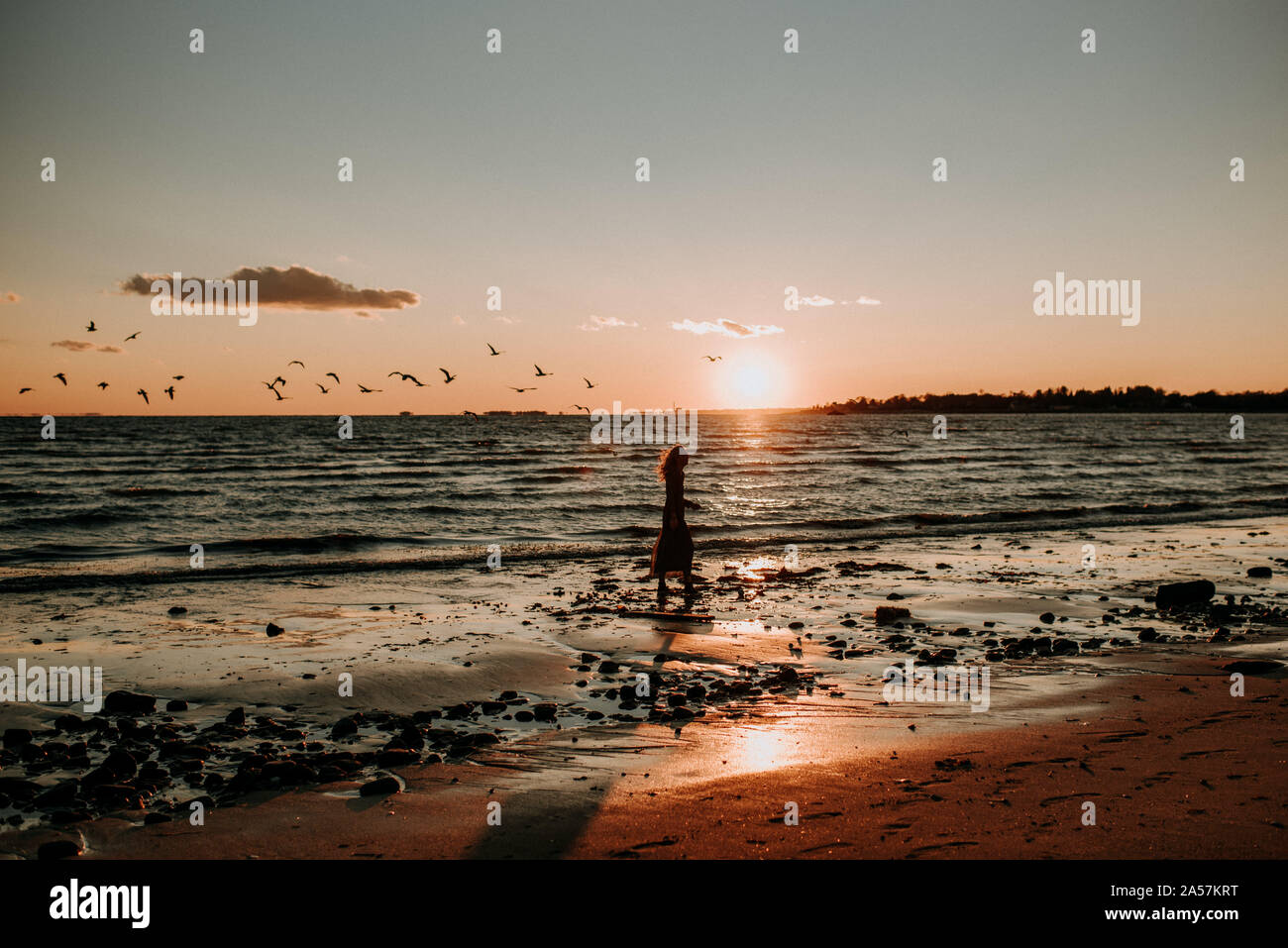 Donna di camminare sulla spiaggia con gli uccelli Foto Stock