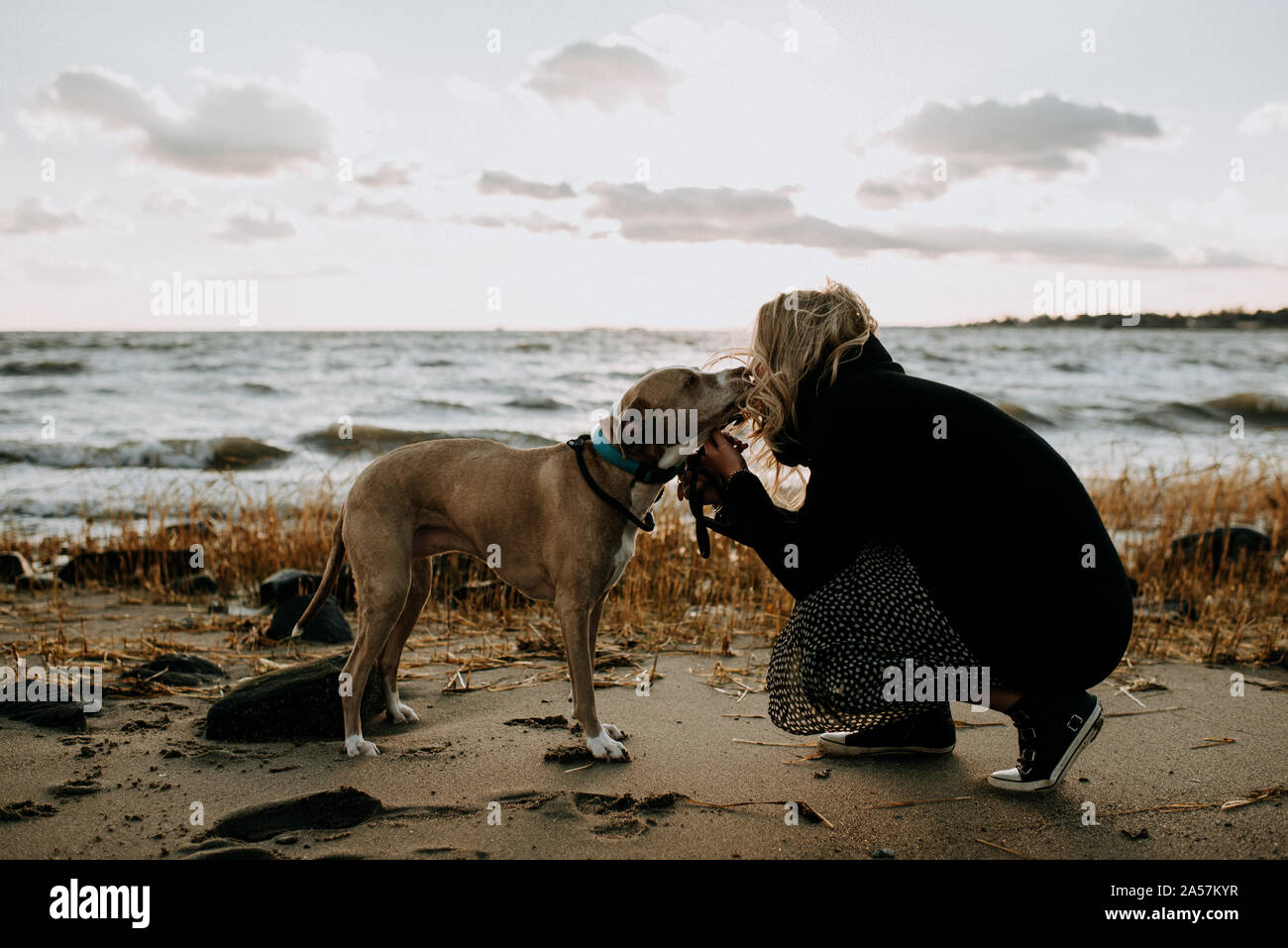 Donna baciare il suo cane sulla spiaggia in inverno Foto Stock