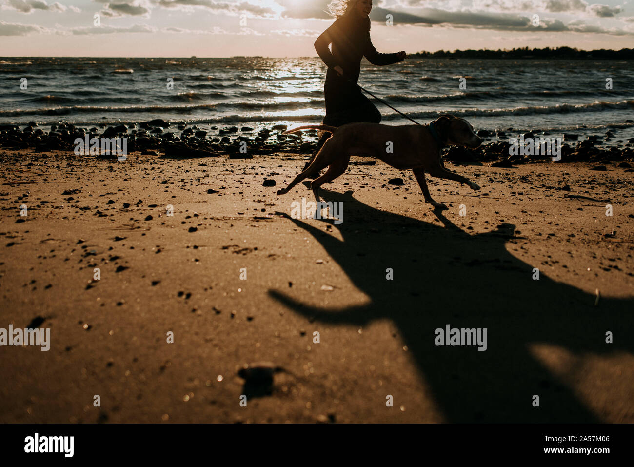 La donna in esecuzione con il cane sulla spiaggia Foto Stock