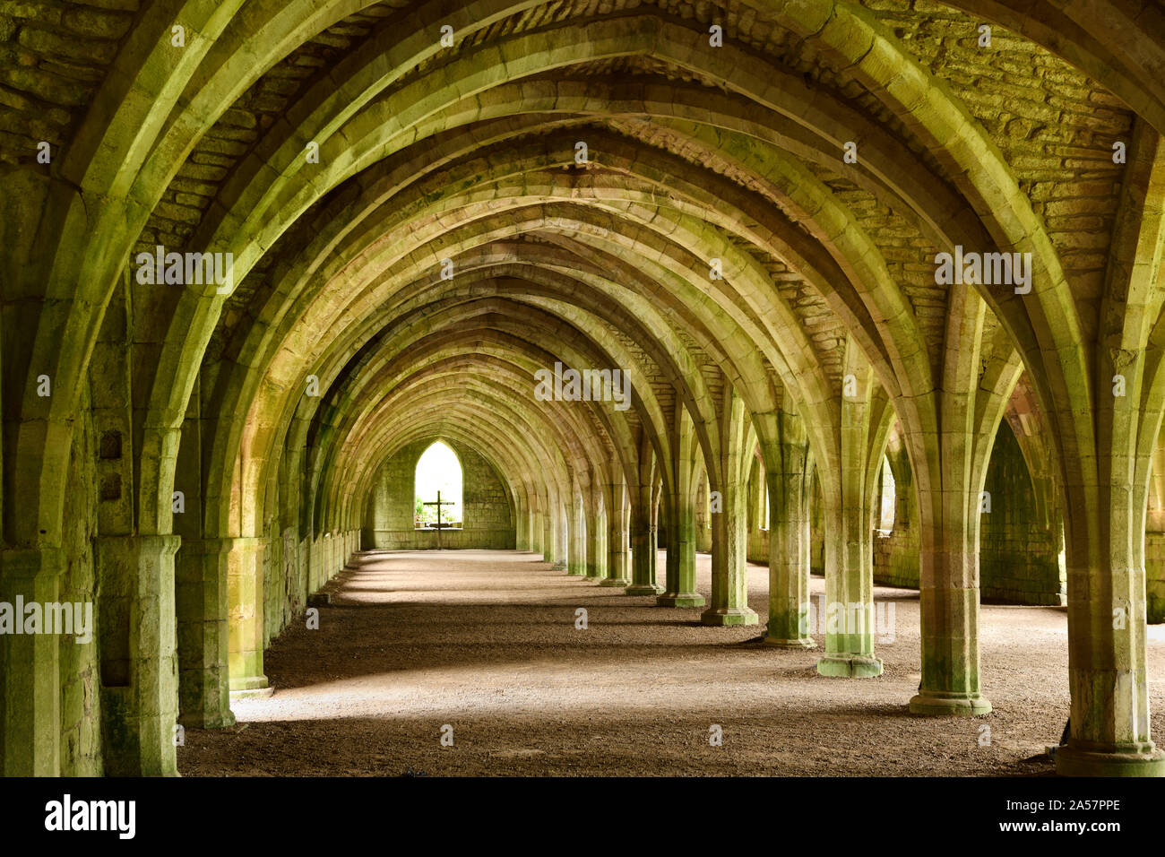Fountains Abbey monastero cistercense le rovine in pietra con soffitto a volta del soffitto ad arco dei monaci cellarium con croce in corrispondenza della finestra North Yorkshire, Inghilterra Foto Stock