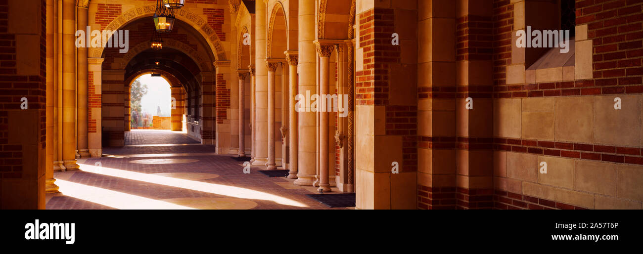 Corridoio di Royce Hall, Università della California di Los Angeles, California, Stati Uniti d'America Foto Stock