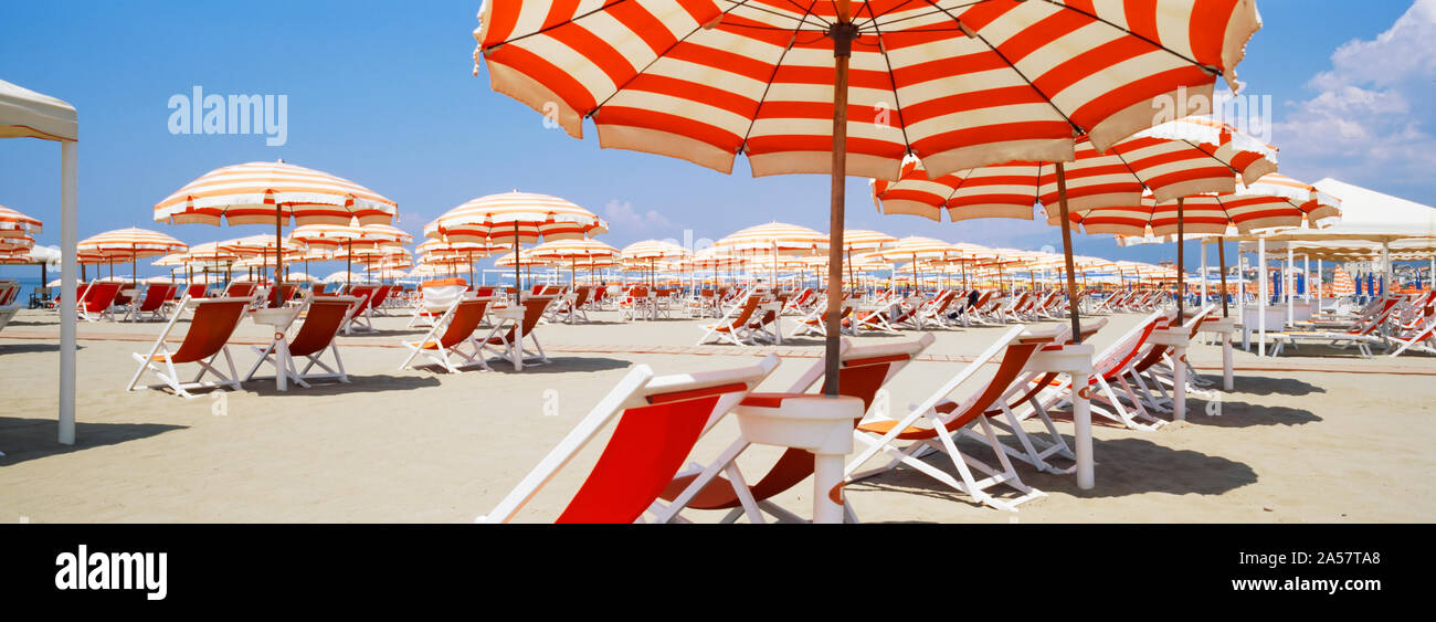 Sedie a sdraio e ombrelloni sulla spiaggia, Viareggio, Toscana, Italia Foto Stock