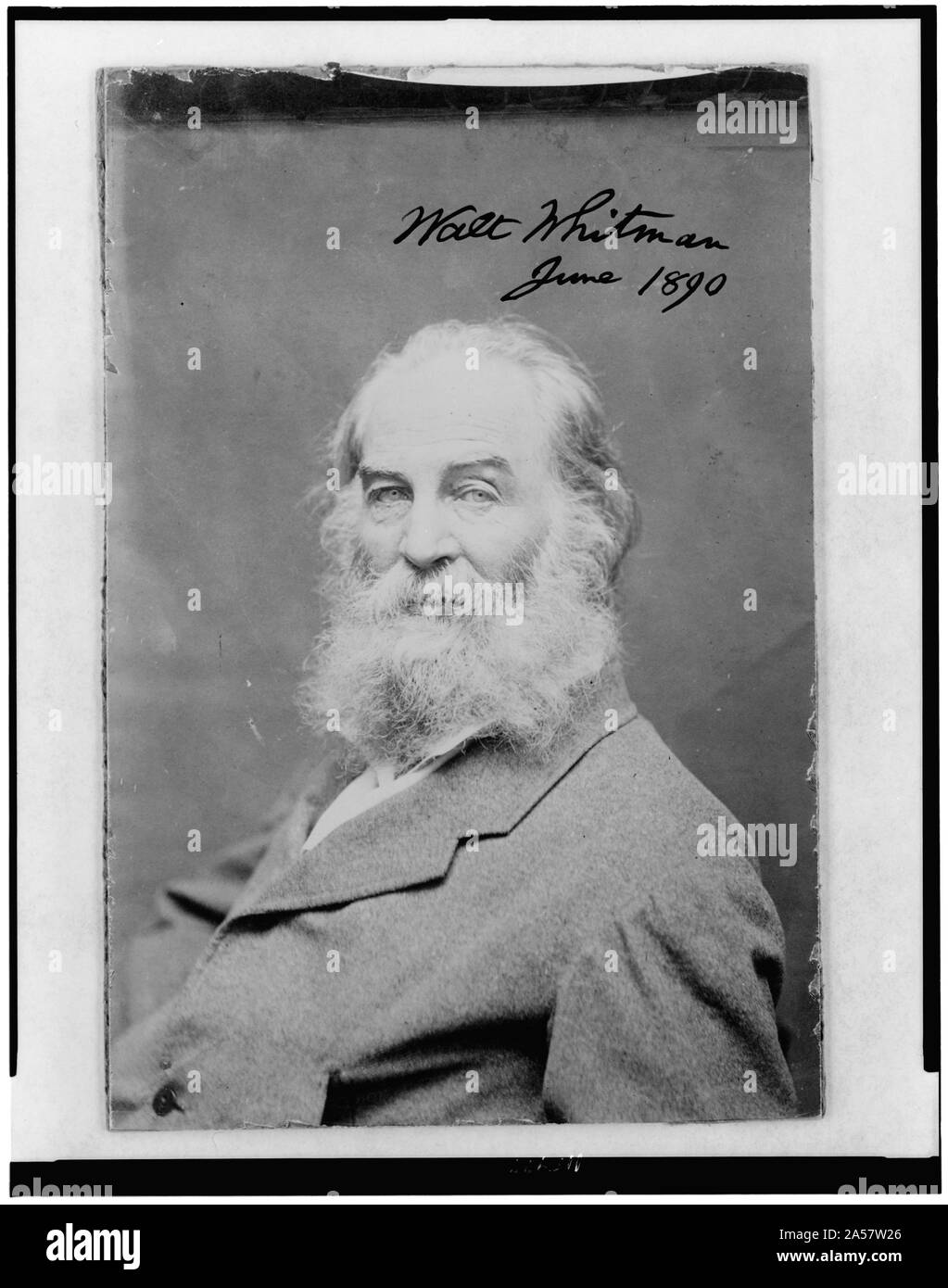 Walt Whitman come un uomo vecchio, mezza lunghezza verticale, posizionato a sinistra, rivolto verso la parte anteriore Foto Stock