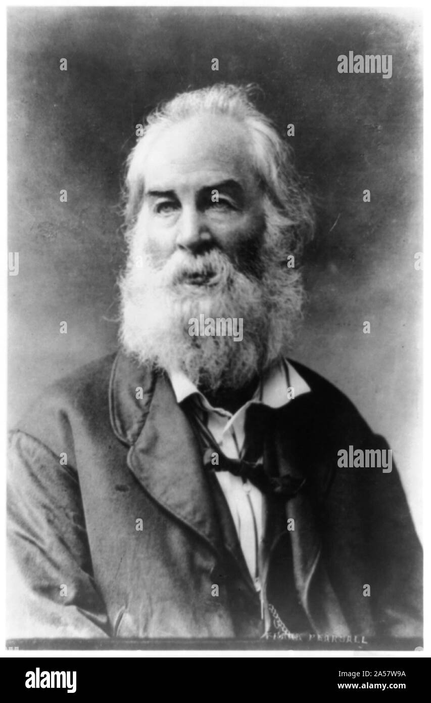 Walt Whitman, mezza lunghezza verticale, rivolto verso sinistra Foto Stock